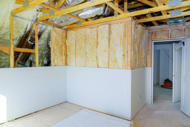 Best Insulation Inspection Services  in Andover, MN