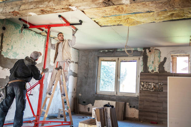 Best Best Insulation Companies  in Andover, MN