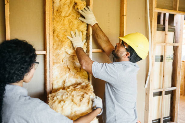 Best Professional Insulation Contractor  in Andover, MN