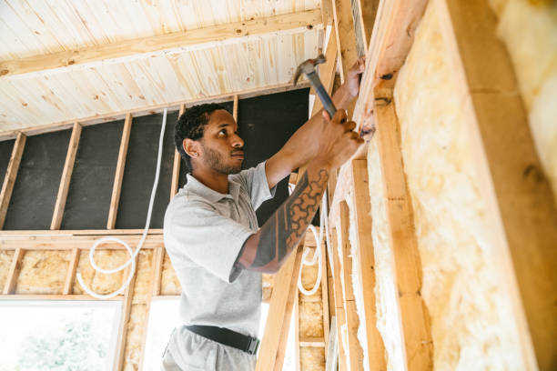 Best Energy-efficient Insulation  in Andover, MN