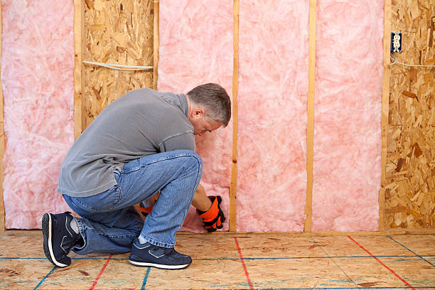 Best Attic Insulation Installation  in Andover, MN