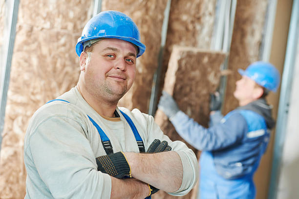 Best Home Insulation Services  in Andover, MN
