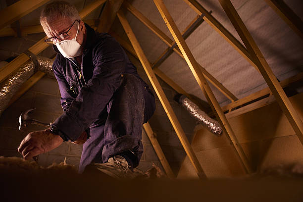 Best Cellulose Insulation  in Andover, MN