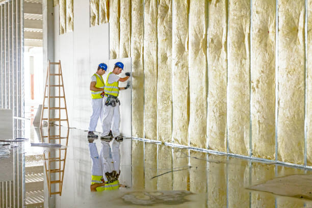 Best Insulation Replacement Services  in Andover, MN